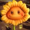 person_9091