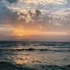 najmamarocc