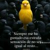 johnc1002