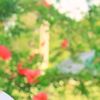 rasel_raju_7