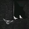 denott_06