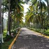 fredymachado22