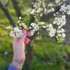 user7206072707400