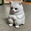 tayuki1215