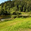 pomponpapou3