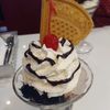 nootia_