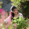 hoaigao8895