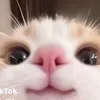 minhduc00thay