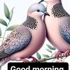 binodbk385