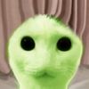 stupid_random.user9996