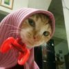 revana._seishiroo