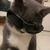 lxngzy