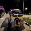 dani_kocik01