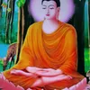 hoanggia79799
