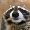 kawazzie123