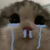 beebiibuuu