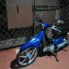 alinjr40