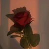 roseofthree