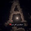 sugar_337