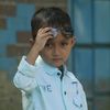 arman7361