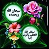 user8533959681281