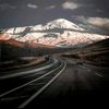 alikaynak24