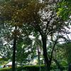 spruttxx