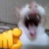 aleatorio_desconhecido2