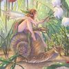 funky.forest.fairy