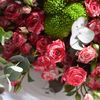 maram.916