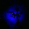 alucard12082020
