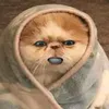 hayati_lelah_