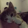 .meonehihi01