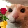tlacongaideptrais1