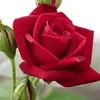 janmbadshah