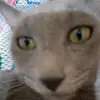 garrita93