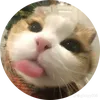 jcordova621