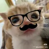 _tptuong