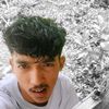 bang.el_77