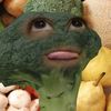nrdiaanikaptri28