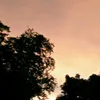 lianalthea20