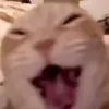 acquyskibidi_0o