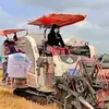 banhbeomohon_59