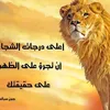 user4242125080535