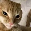 jeorgeee_1007