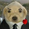 renderlcs17