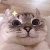 dima_solomko