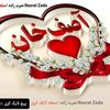 muhaib.khan804