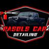pasolscardetailing