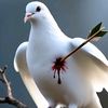 zubair988886